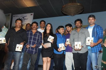 365 Days Movie Audio Launch